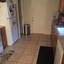 Куче се скрило в кухнята, така че никой да не може да го намери с часове, можете ли вие?