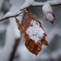 Метеорологичната агенция на САЩ с прогноза за исторически аномалии в България през зимата