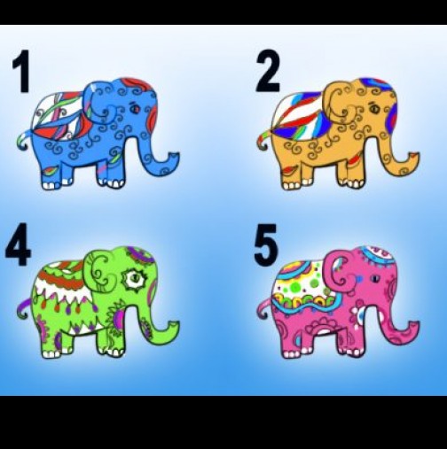Нали знаете, че слончето носи късмет? Изберете си едно от 6-те и вижте какво ще донесе на вас 