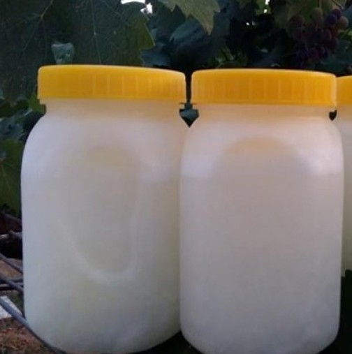 Гърци плащат на наши фермери по 300 евро на литър за това мляко, а сиренето от него удря 1000 евро 