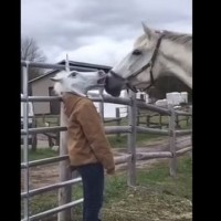 Постави маска на главата си и конят се приближи-Ето какво се случи