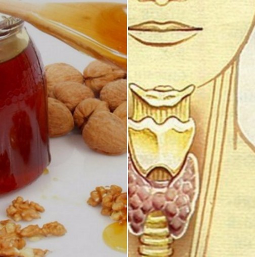 Смесете една чаша елда, орехи и мед за лечение на щитовидната жлеза