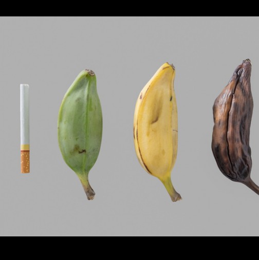 Ако пушите трябва да хапвате тези храни, ако искате да изчистите белия си дроб