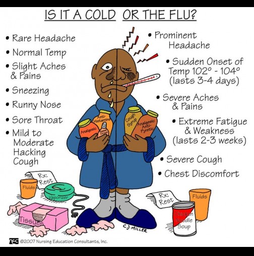 Как да различите дали сте пипнали грип или е просто настинка