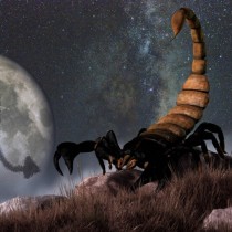 Осем причини, поради които скорпионите са най-мощният знак в хороскопа-Ето защо са като нинджи!