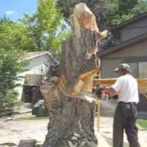 (Видео) Той реши да отреже старото дърво в двора и когато свърши, всички останаха без думи!