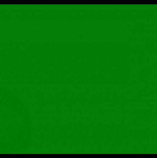 Изпробвайте зрението си: На пръв поглед изглежда като празен зелен фон, но нещо се крие на него