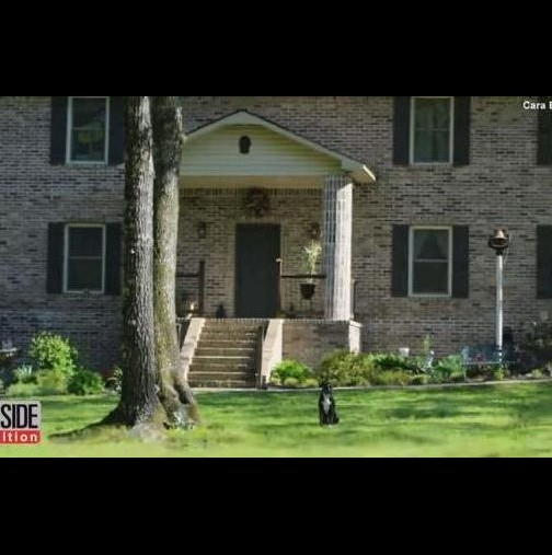 (Видео) Тази майка построи страхотна къща на два етажа сама