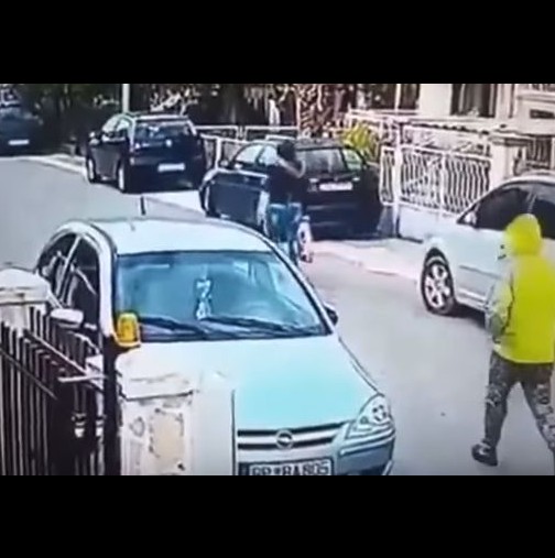 Бездомно куче спаси жена от крадец на улицата-Как му се нахвърли само!