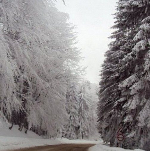 Синоптик от БАН: Зимата се завръща с пълна сила 