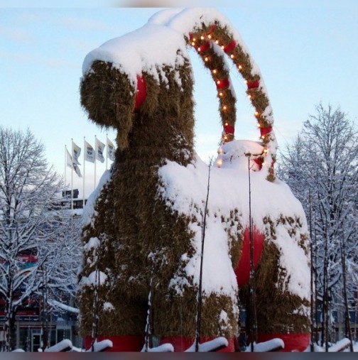 Най-странните коледни традиции по света: Ето къде всяка година издигат 13-метров сламен козел