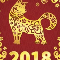 Щастливите цветове, които носят късмет за всяка китайска зодия за 2018 година