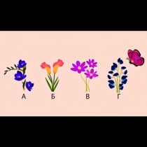 Кое цвете ви привлича най-много? Отговорът ще разкрие истината за вашата любовна връзка