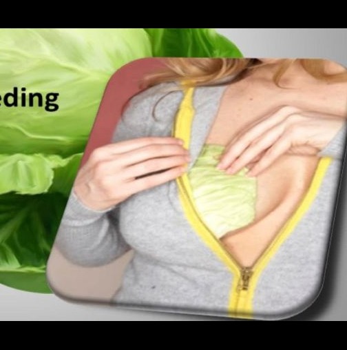 Зелеви листа при болки и подуване на гърдите 