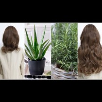 Ако косата ви не иска да расте, идват на помощ тези 4 растения, които ще я накарат със сигурност