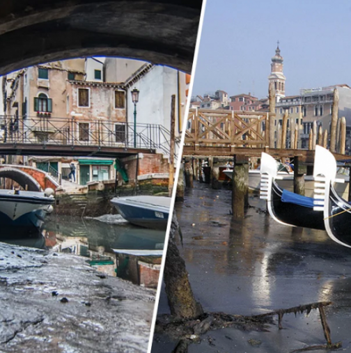 Нещо страшно се случва във Венеция: Странен феномен удари италианския град