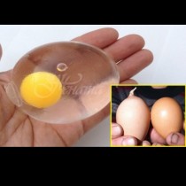 Как да разберете дали яйцата са истински? (снимки)