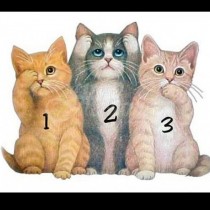 1,2,3 кое котенце избираш ти, я ни кажи и виж какво се крие 