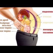 Висцералната мазнина е невидим враг-Време е да се отървете от нея