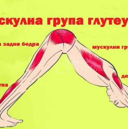 Асана Кучешка муцуна надолу