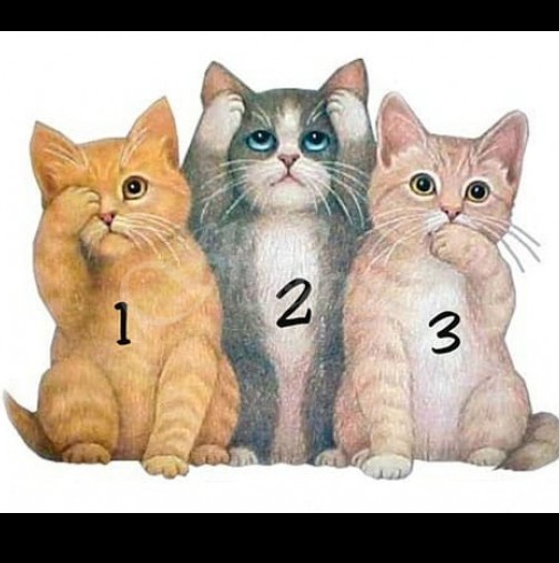 1,2,3 кое котенце избираш ти, я ни кажи и виж какво се крие 