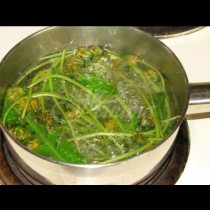 Тревата, която побеждава рака без вреда за организма-Рецепта