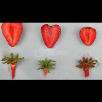 Търговец на едро ни сподели как да си избираме ягоди-  5 тайни, с които никога няма да сбъркате в избора си