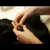 Черно сако на Chanel 2012