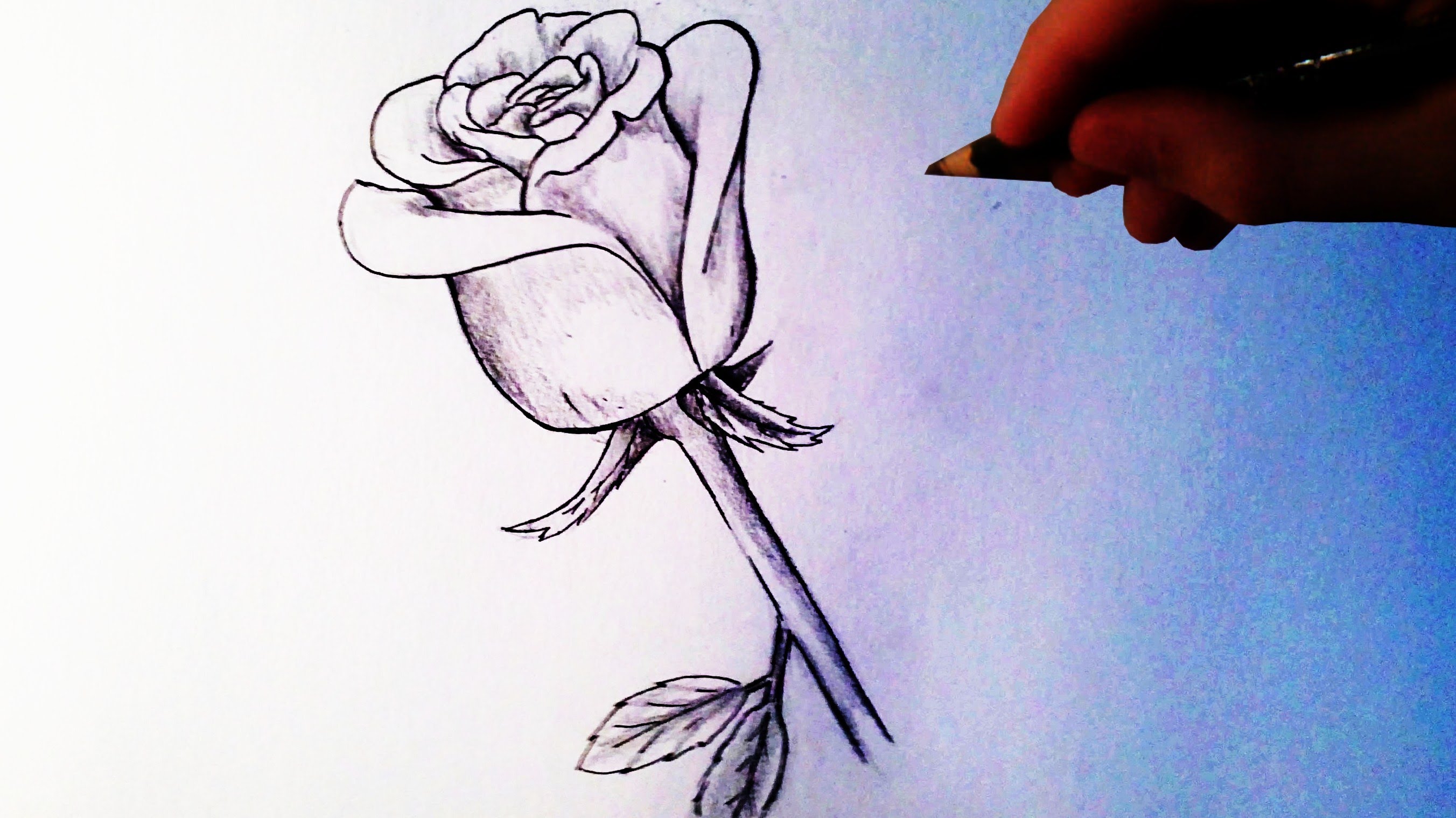 Как да нарисуваме роза лесен урок