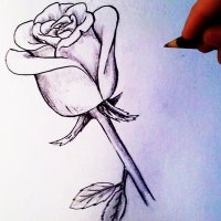 Как да нарисуваме роза лесен урок