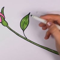 Как да нарисуваме роза урок за начинаещи