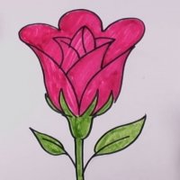 Как да нарисуваме разцъфваща роза