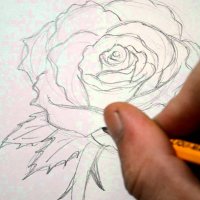 Как да нарисуваме роза набързо