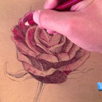 Как да нарисуваме роза с цветни моливи
