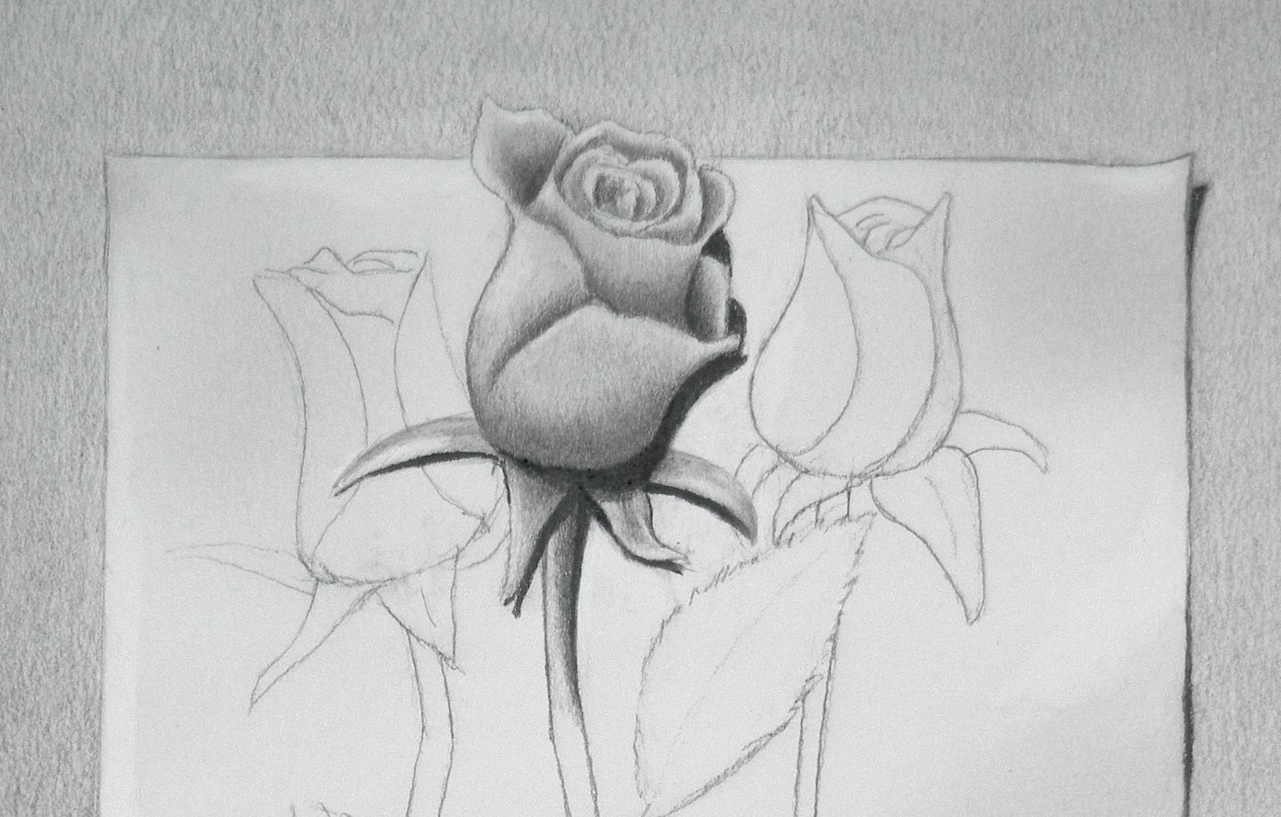 Как се рисува роза