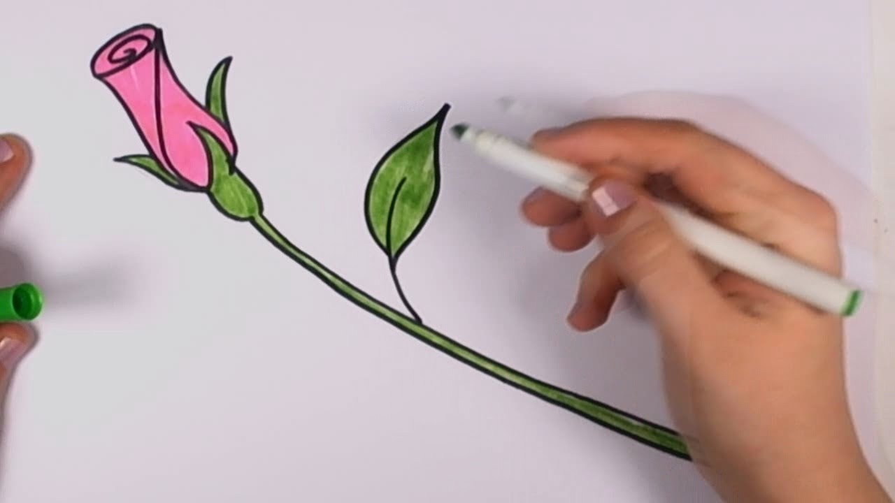 Как да нарисуваме роза урок за начинаещи