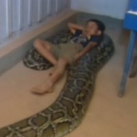  Като бебе спеше с змия