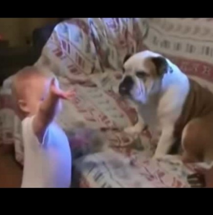 Бебе говори с куче