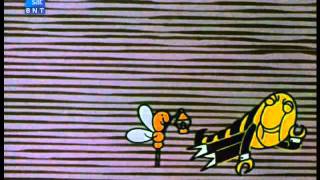 Забавен Хороскоп-Анимация-Видео