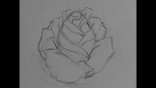 Как се рисува татуировка роза 