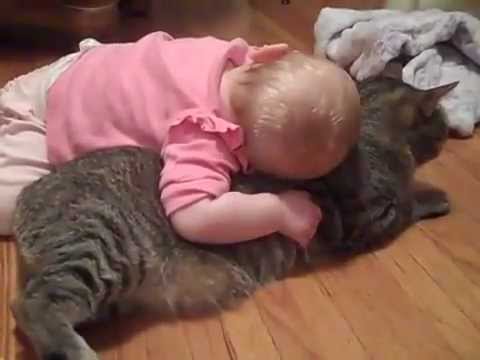 Смешни бебе и котка