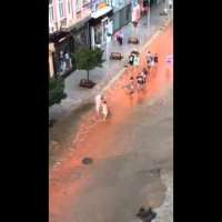 Наводнение Варна