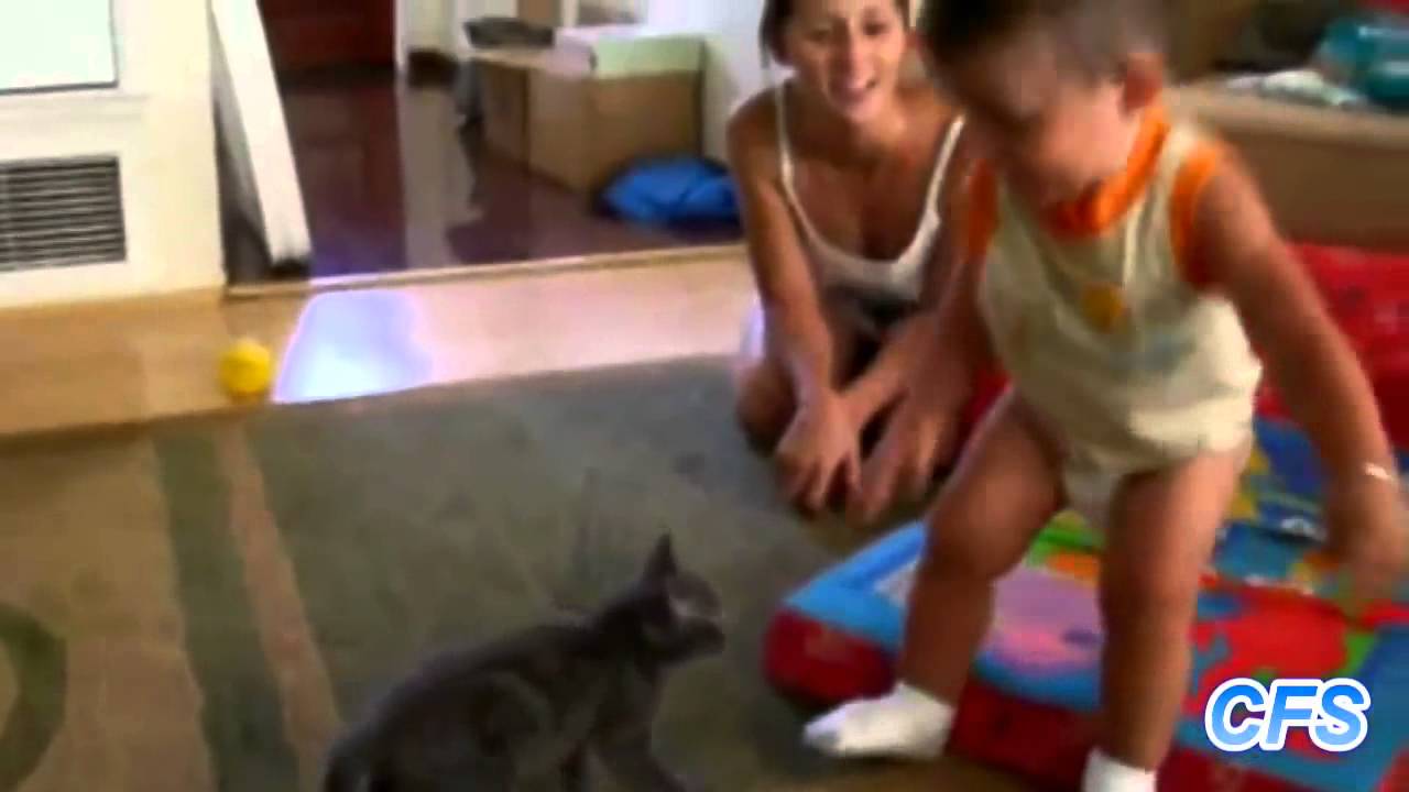 Котките обичат бебета - забавна и мила видео компилация