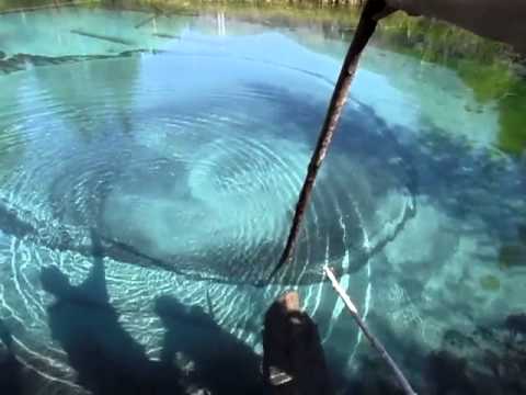 Живо езеро в Русия