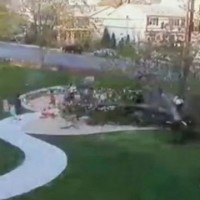 Дърво пада върху детска площадка