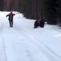 Ето какво се прави, когато срещнете мечка в гората