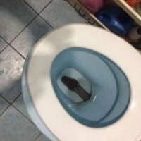 Внимавайте като сядате на тоалетната чиния
