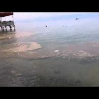 Замърсено езерото в Охрид