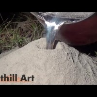 изкуството на мравките