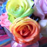 Как да си направим рози в цветовете на дъгата